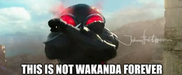 Not wakanda forever memes